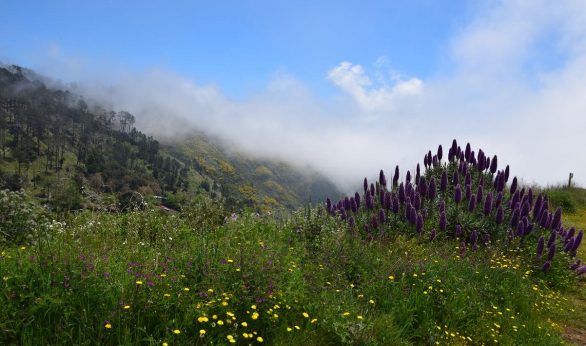 DIe Bergwelt bei Monte.