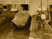 Museu da Industria Baleeira - noch vor wenigen Jahren wurden hier Wale verarbeitet .....