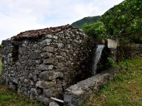 Wassermühle. Faja Grande.