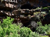 Die Höhlen von Buracas. Hier wohnten in grauer Vorzeit die La Palmerischen Ureinwohner.